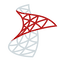 API icon